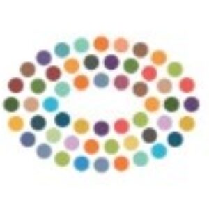 Groepslogo van DMI-programmabureau
